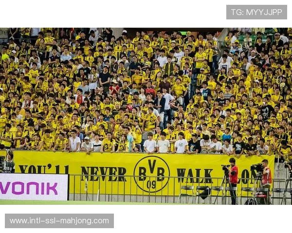 德甲争冠格局分析：拜仁稳定领跑与多特蒙德紧追不舍的冠军悬念